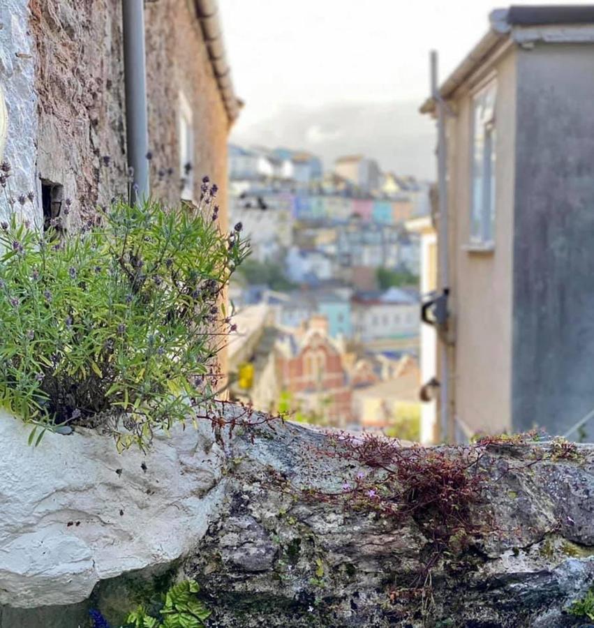Saltys Cottage, Brixham - 2 Min Walk To The Harbour المظهر الخارجي الصورة